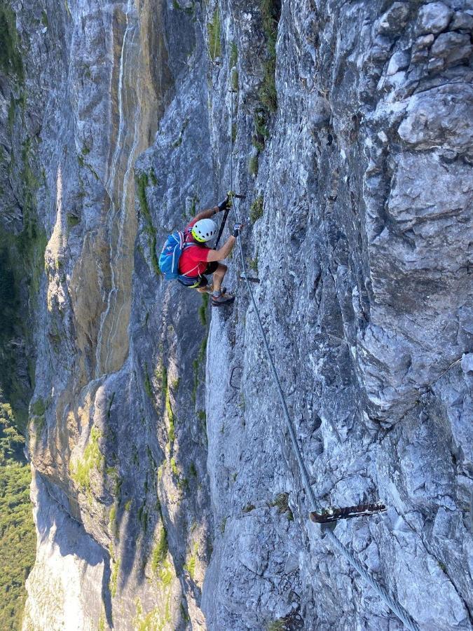 Trollenhof Im Allgaeu - Ferienwohnungen Aggenstein Ruckholz Luaran gambar